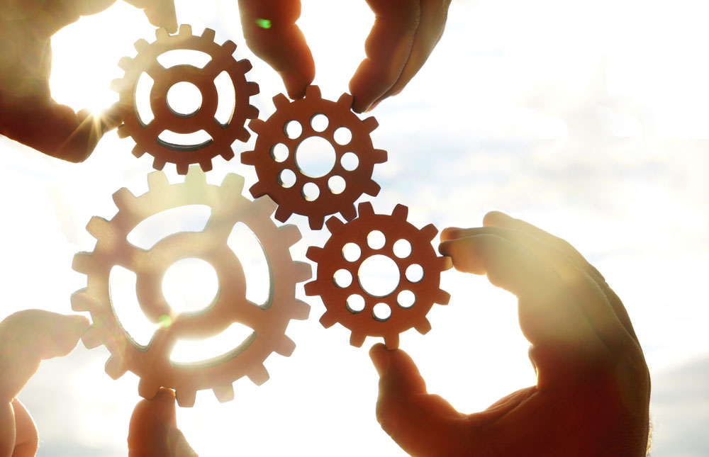 Should You Diversify Your Family Business?