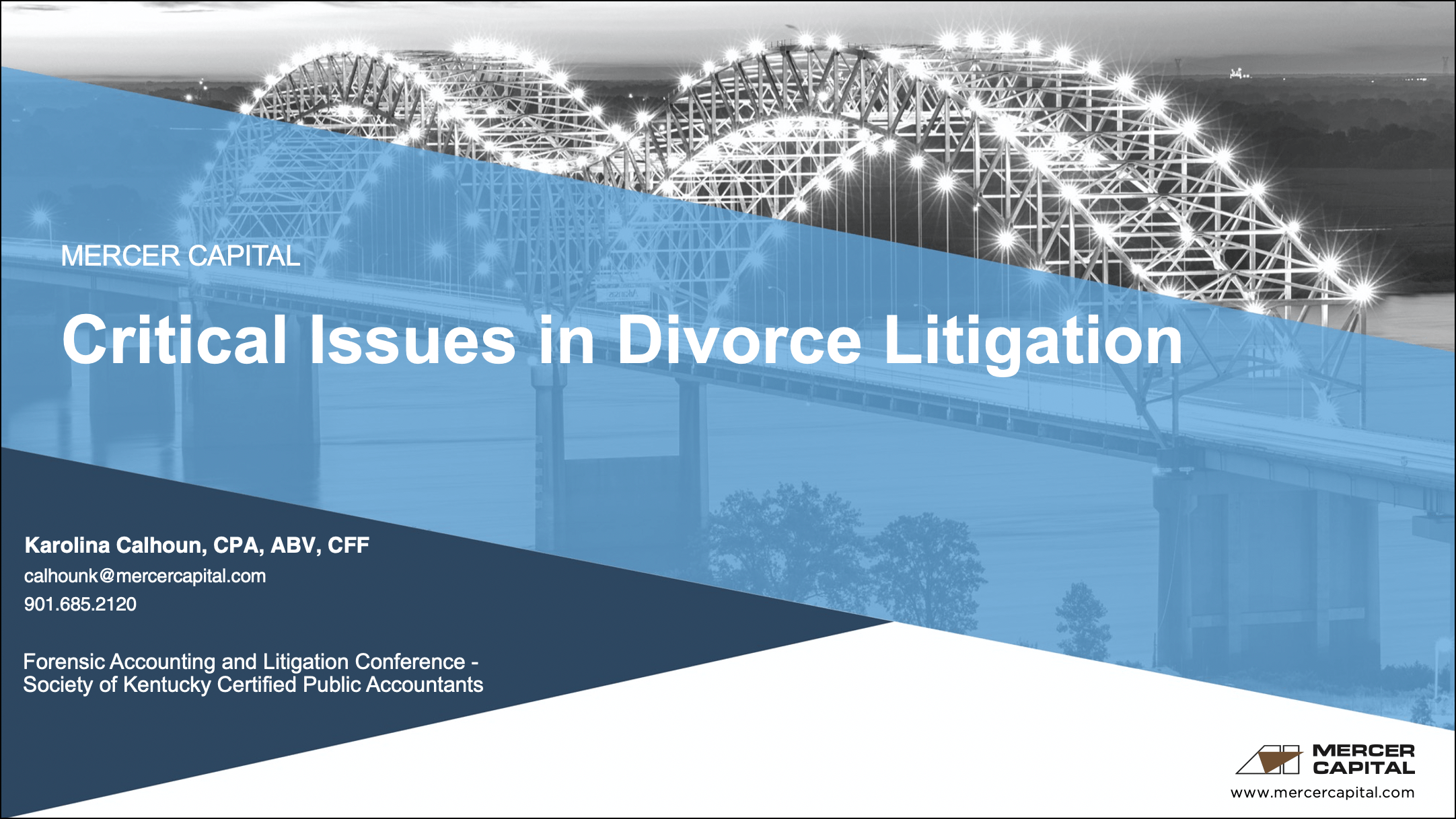 Critical Issues in Divorce Litigation.