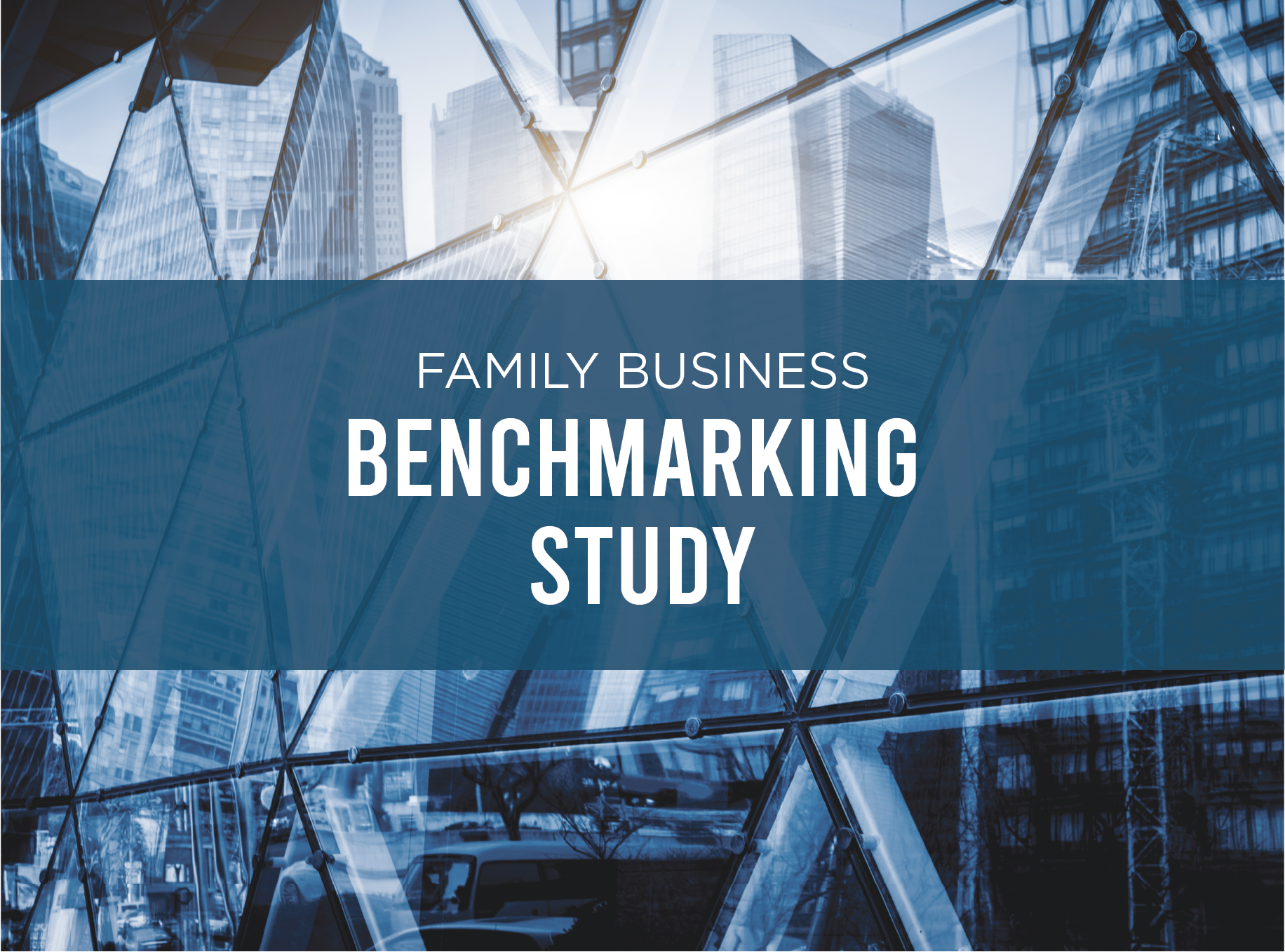 The 2025 Family Business Benchmarking Study