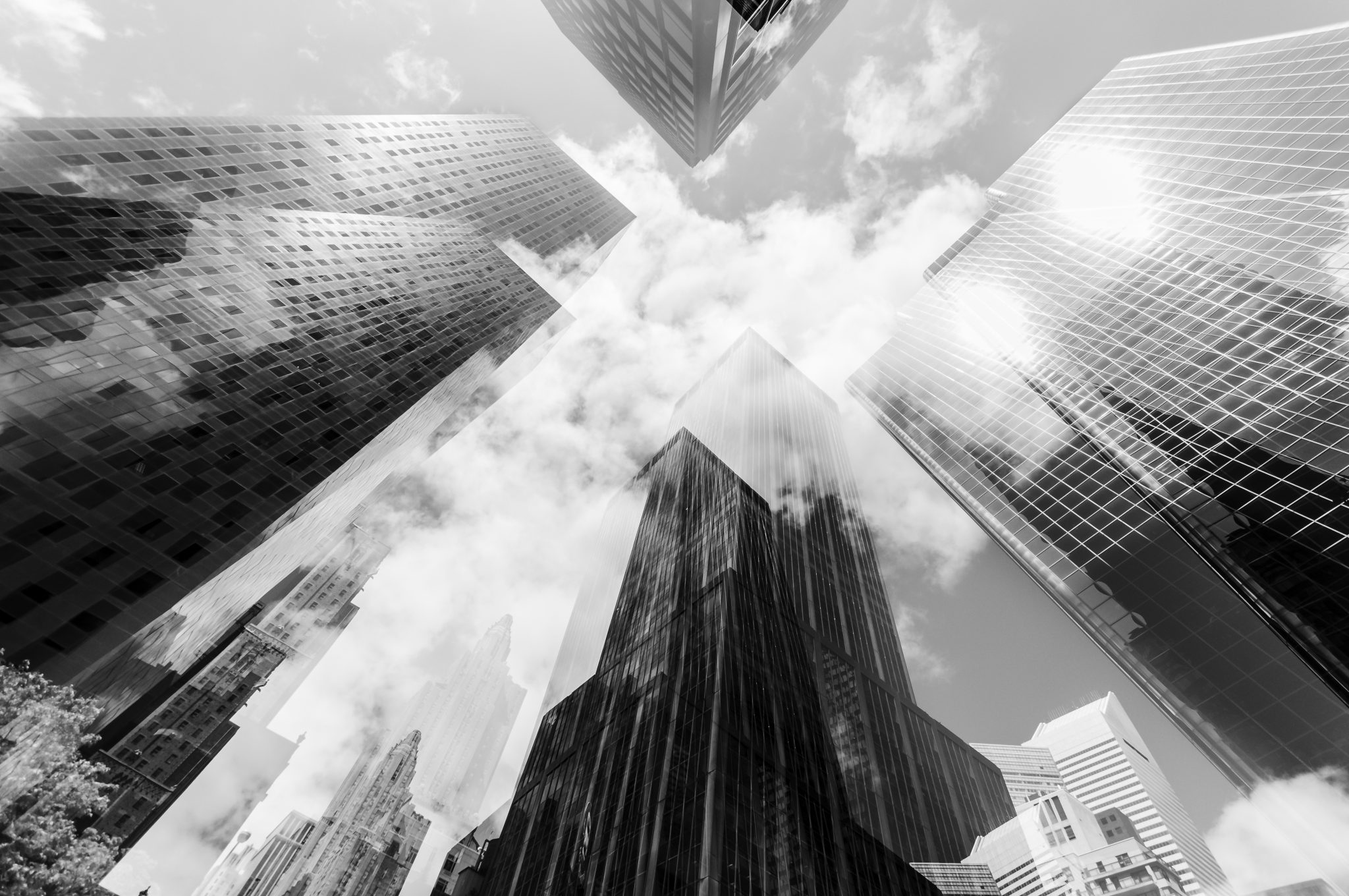 Whitepaper Release: Valuing Independent Trust Companies