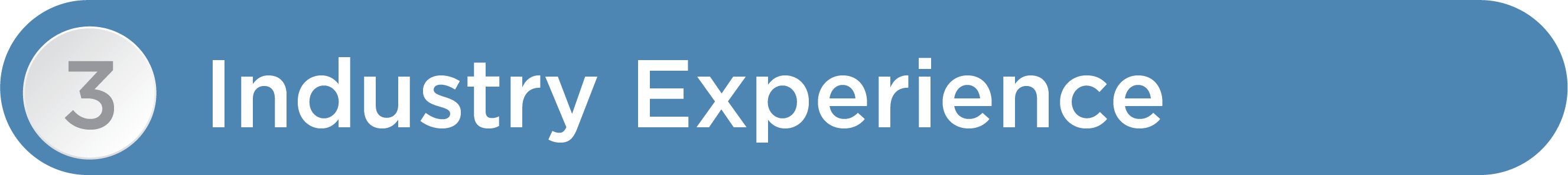 Industry Experience