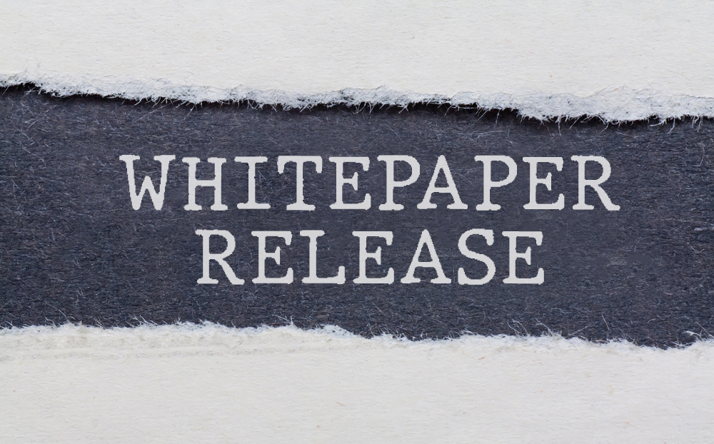 Whitepaper Release: Purchase Price Allocations for RIAs