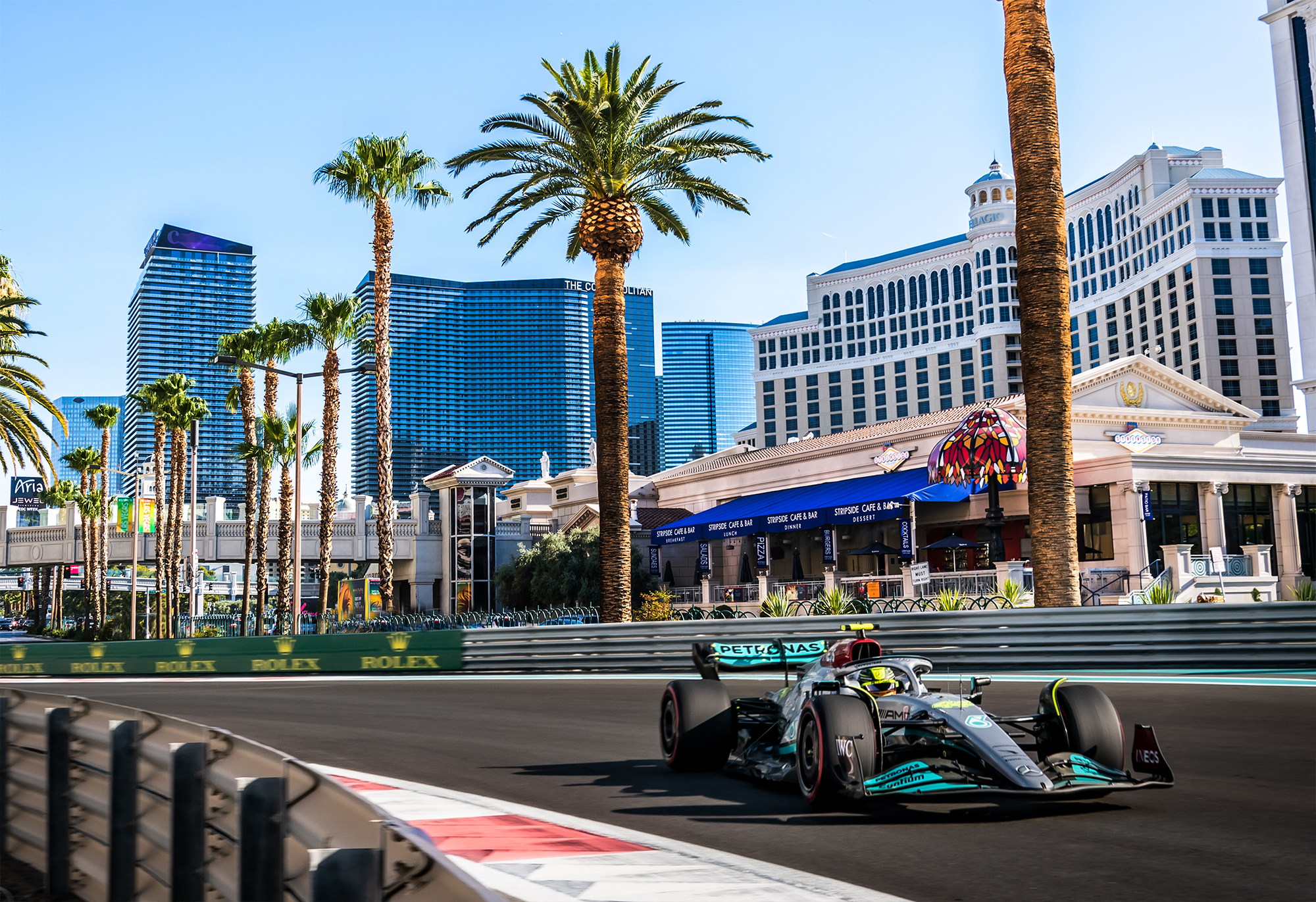 Speed, Velocity, and Momentum