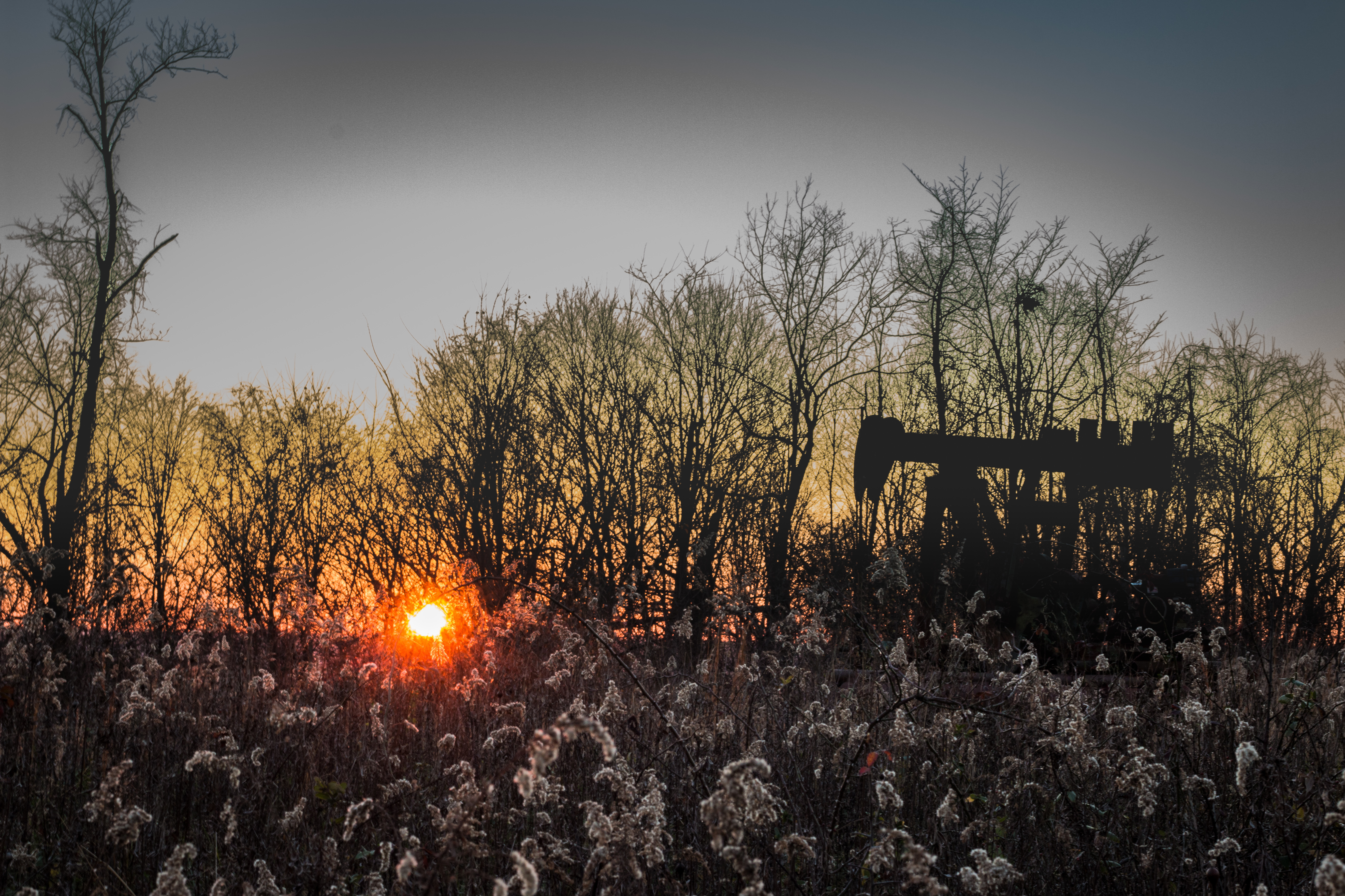 Appalachian Production Holds True Despite Market Disruptions